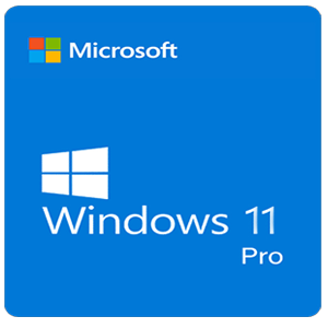 Window 11 Pro Logo